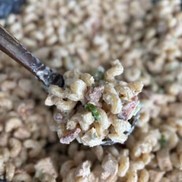 creamy pasta with chicken and bacon on a spoon